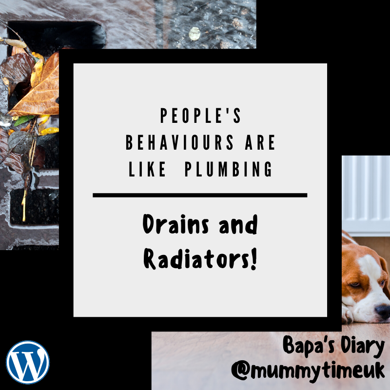Drain and Radiator Behaviour – Bapa's Diary by Mummy Time UK